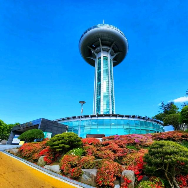 완도의 블루플래그