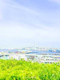  【神奈川】港の見える丘公園のつるばらアーチ