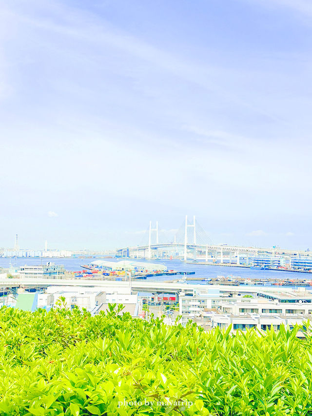 【神奈川】港の見える丘公園のつるばらアーチ