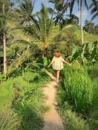 🌴The Beauty of Bali🌴A must-see place