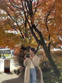 東京近郊·秋季郊游好去處輕井澤🍁