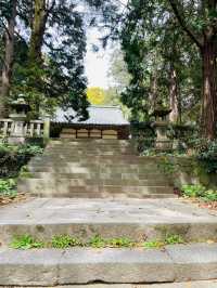【山口県】毛利元就など歴代の藩主を祀る志都岐山神社
