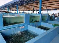ร้านอาหารทะเลวิวดีริมหาดบ้านอำเภอ