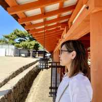 Magical Miyajima Island