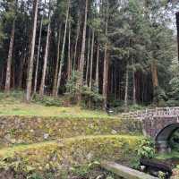 Alishan National Park 