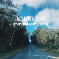 เขาใหญ่ เที่ยวได้ทั้งปี #อุทยานแห่งชาติเขาใหญ่ 