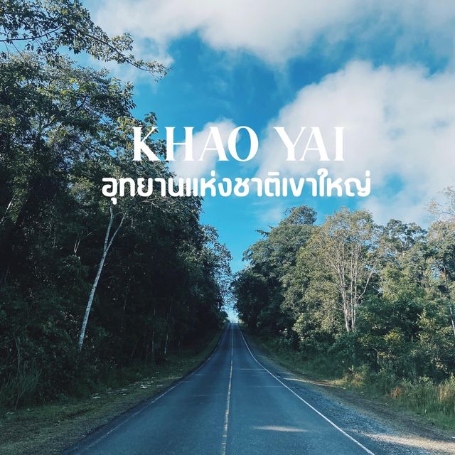 เขาใหญ่ เที่ยวได้ทั้งปี #อุทยานแห่งชาติเขาใหญ่ 