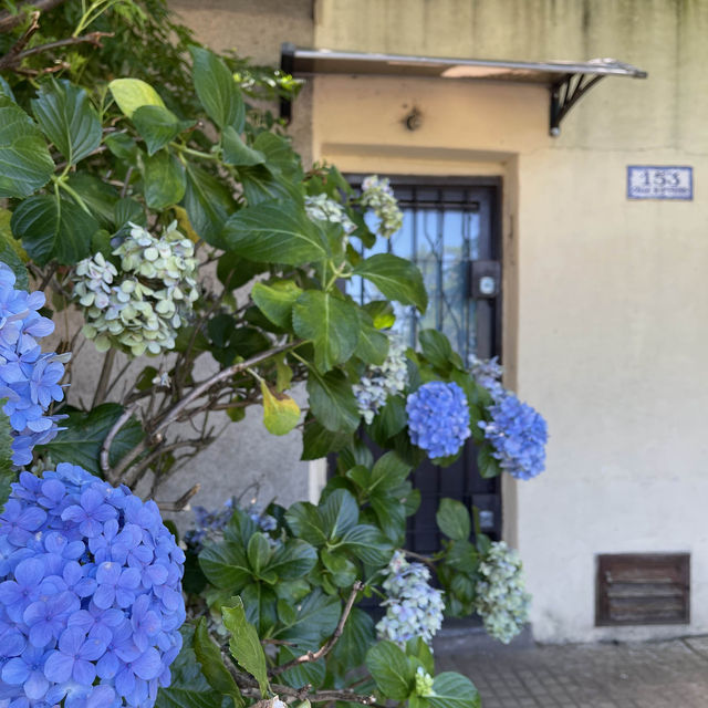 Day Trip from Buenos Aires to Colonia del Sacramento