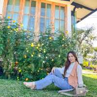 💛คาเฟ่ ม่วงสามสิบ💛