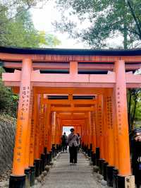 1 วันในเกียวโตไปไหนบ้าง ⛩️