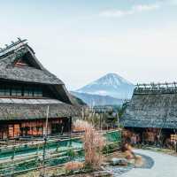 🏕️ทะเลสาบไซโกะ (Lake Saiko)🗻