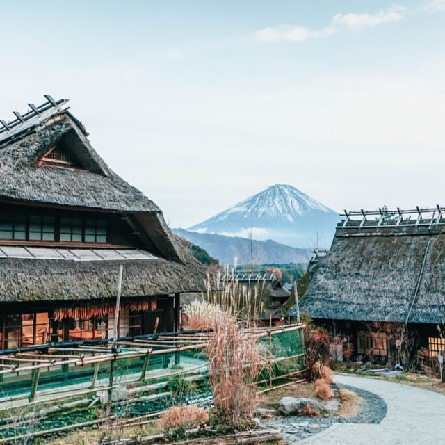🏕️ทะเลสาบไซโกะ (Lake Saiko)🗻