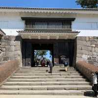 【小田原城址公園】全年適合遊覽，景色優美