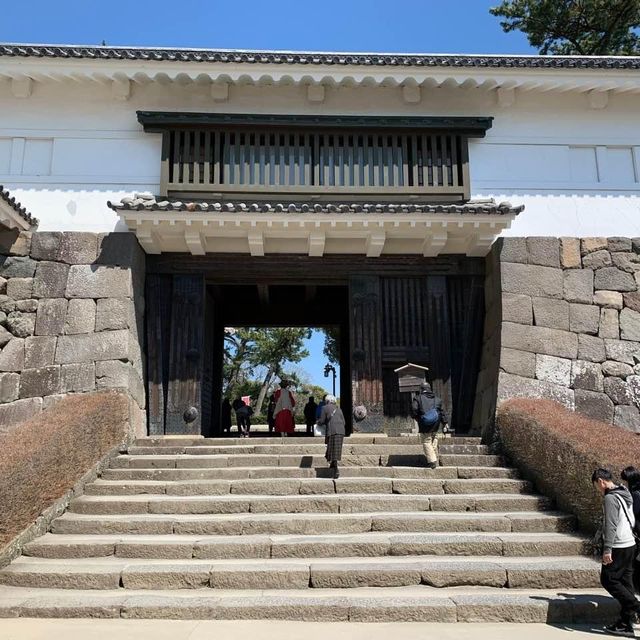 【小田原城址公園】全年適合遊覽，景色優美