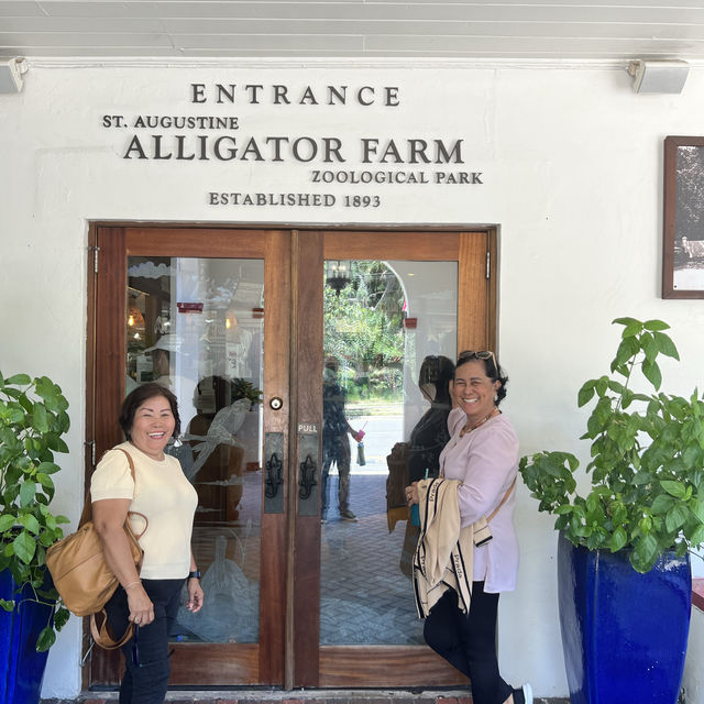 Alligator 🐊 Farm at St Augustine establish 1800