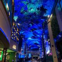 最先端の韓国旅