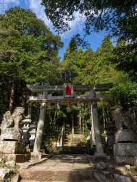 鳥取最強神社⛩再生と復活のご利益がある唯一無二の神社️🩵⛩💛赤猪岩神社復活の道