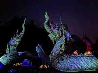 ชมพญานาคเรืองแสง @วัดป่าภูปัง