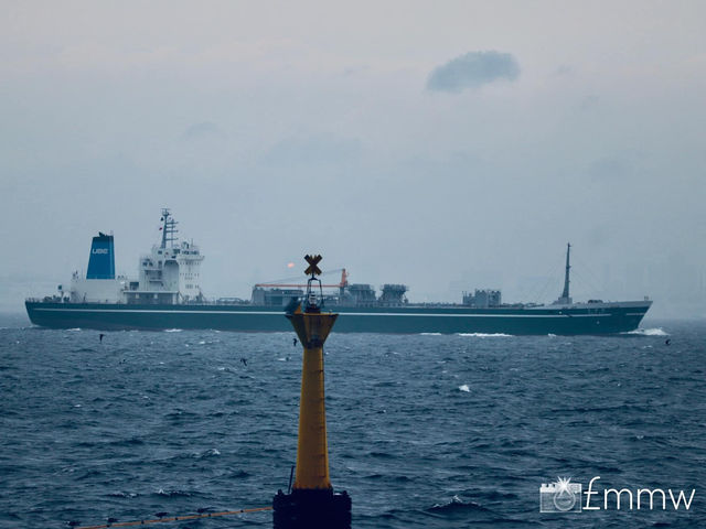 Umihotaru 🌊 ウミホタル