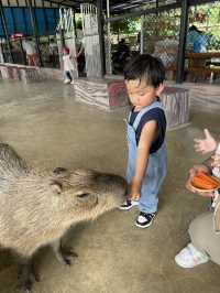 ตะลุยสวนสัตว์ Sriayuthaya Lion Park