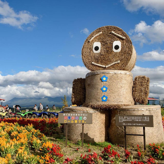 Hokkaido on Summer in Love