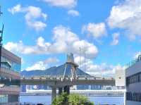北角海逸酒店｜綠怡咖啡廳