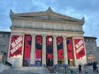 【🇺🇸芝加哥🇺🇸】Field Musuem：暴龍🦖 T Rex 體驗，難忘博物館之旅，適合帶小朋友來震撼教育一下‼️