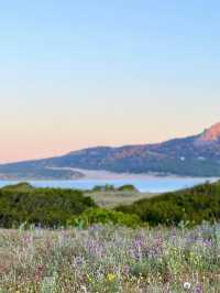 Bolonia Beach