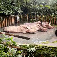 Singapore zoo