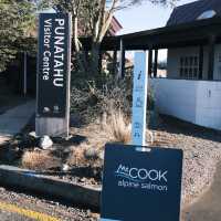 WE VISITED NEW ZEALAND MOST FAMOUS SALMON SHOP!
