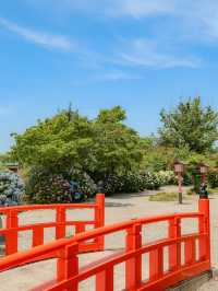 【栃木】🐓のお茶目な手水舎がある神社