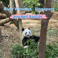 ไอเดียใหม่ ที่เที่ยวสิงคโปร์ river wonder
