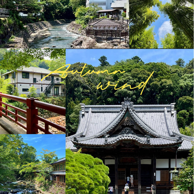一本松川綠道：自然景觀與人文歷史的絕佳勝地