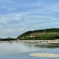 제주여행🏝️ 에메랄드 빛으로 빛나는 바다, 함덕해수욕장🩵