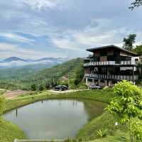 Ethos Forest: A Hidden Gem in Karak
