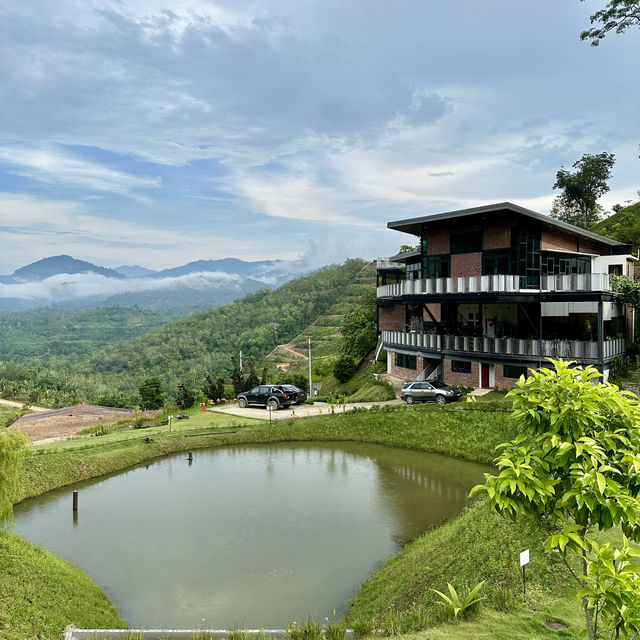 Ethos Forest: A Hidden Gem in Karak