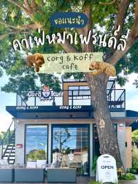 แนะนำ!! คาเฟ่หมาเฟรนด์ลี่🐶