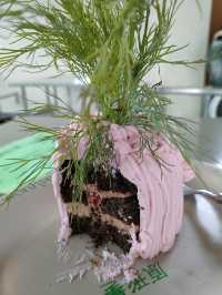 パクチーケーキ⁉️🍰🌿