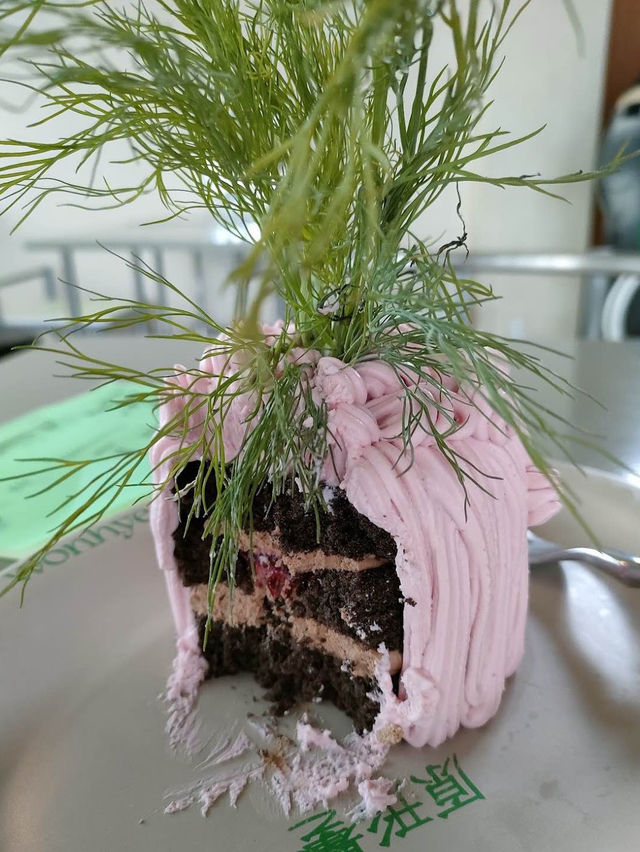 パクチーケーキ⁉️🍰🌿