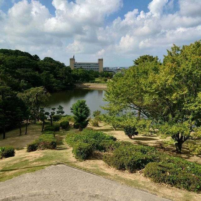 四季折々のイベント「大池公園」
