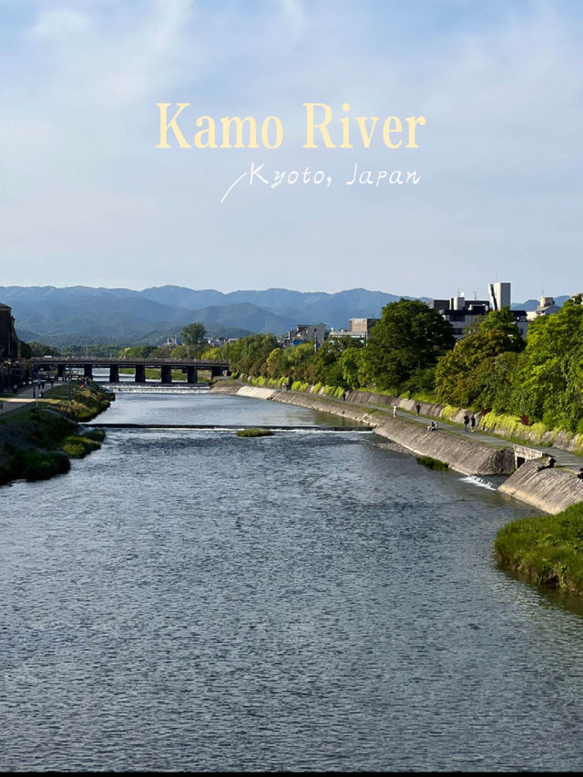 Walk Along the Kamo River in Kyoto 🍃🇯🇵