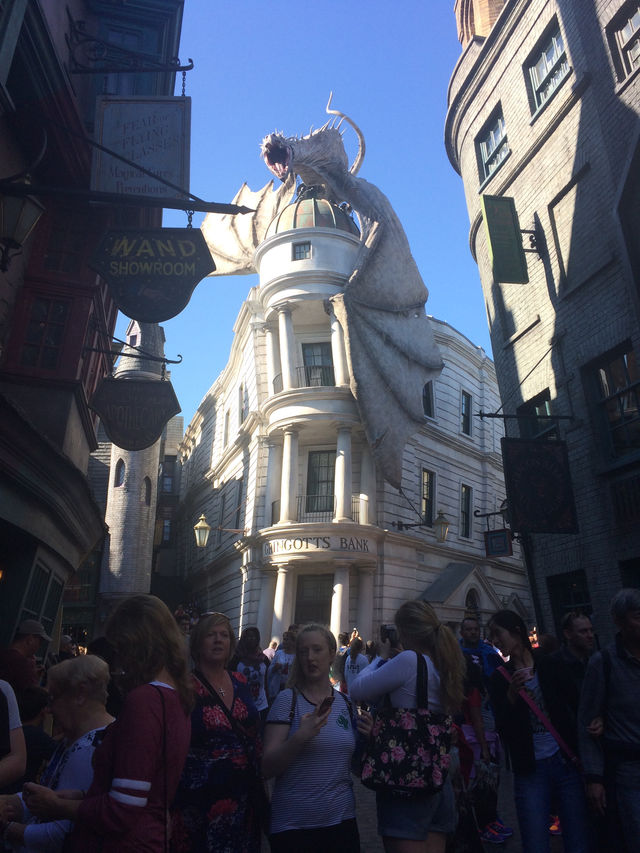 Fun Day at Universal Studios Florida 🇺🇸