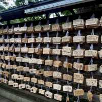 Discover Serenity at Meiji Jingu Shrine! 🌿⛩️