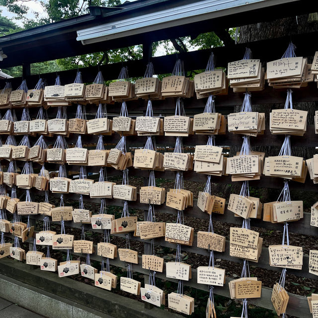 Discover Serenity at Meiji Jingu Shrine! 🌿⛩️