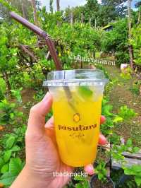 Pasutara สวนเลม่อน สวนผึ้งห้ามพลาดเลยน๊า 🍋