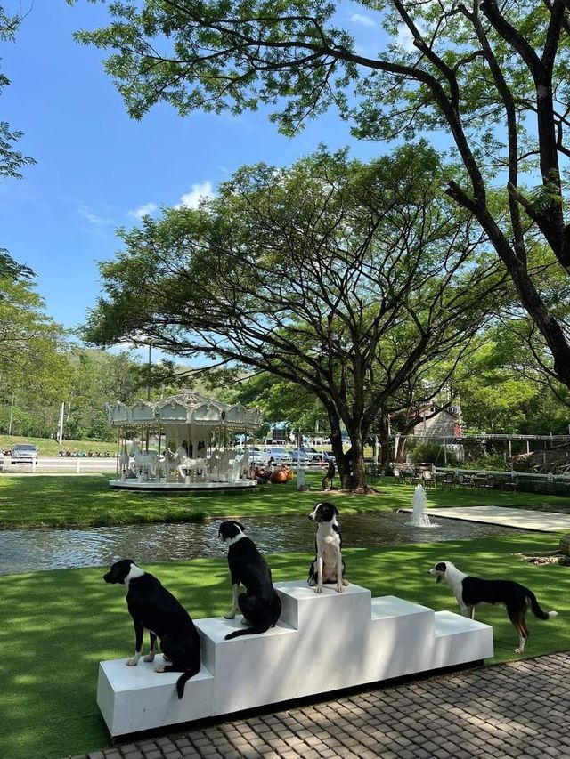 📍เดอะ ซีนเนอรี่ วินเทจ ฟาร์ม