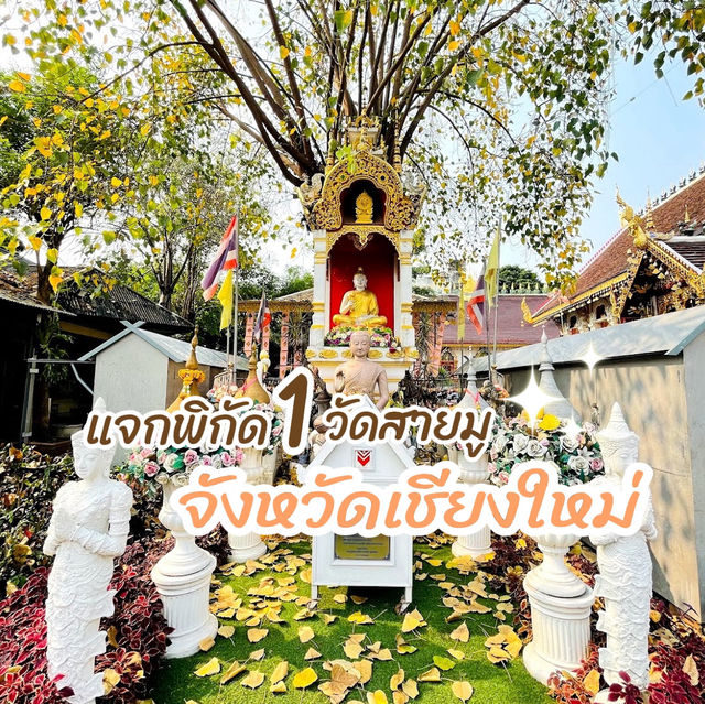 🕍พิกัดสายมูรวยจนฉุดไม่อยู่ วัดเก่าแก่ จ.เชียงใหม่