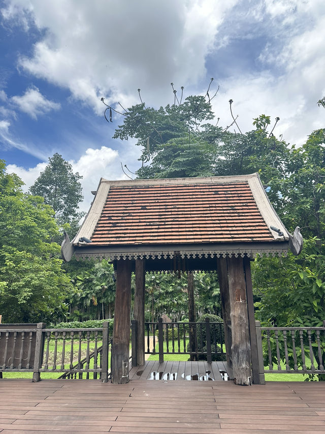 📍มากิน Afternoon Tea กลางทุ่งข้าวที่นาขวัญ คาเฟ่