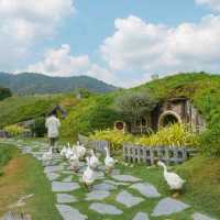 Alpacahill สรรค์ของคนรักสัตว์ที่ราชบุรี