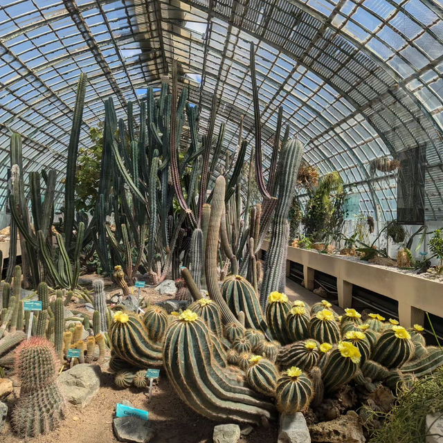 劍橋大學植物園🛟全面瞭解大自然的鬼斧神工